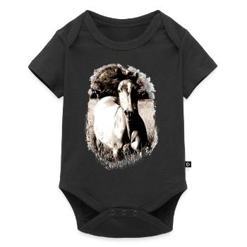 QH Vintage - Baby Premium Kurzarmbody - Schwarz - Vorne