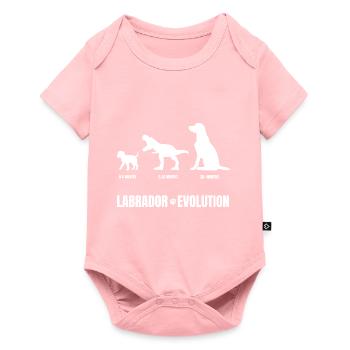 Labrador chiot chien dressage puberté drôle wau - Body à manches courtes Premium Bébé - rose - Devant