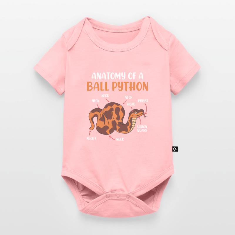 Schlangen Anotomie einer Königspython Ball Python Baby Premium Kurzarmbody