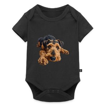 Airedale Terrier - Baby Premium Kurzarmbody - Schwarz - Vorne