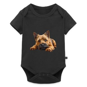 Cairn Terrier - Baby Premium Kurzarmbody - Schwarz - Vorne