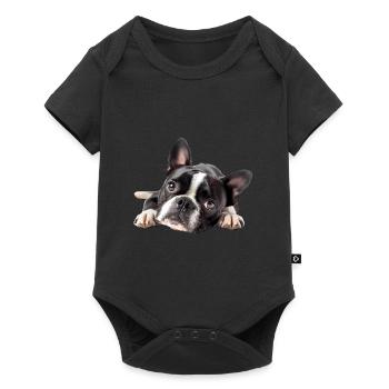 Boston Terrier - Body à manches courtes Premium Bébé - noir - Devant