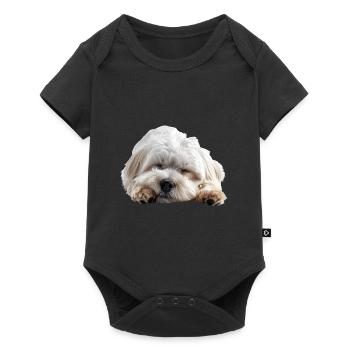 Coton de tuléar - Body à manches courtes Premium Bébé - noir - Devant