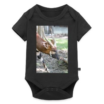 Östlicher Bongo Tragelaphus euryce - Baby Premium Kurzarmbody - Schwarz - Vorne