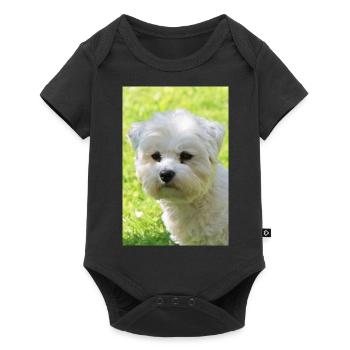 Malteser - Baby Premium Kurzarmbody - Schwarz - Vorne