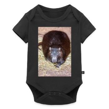Hutia cubain aussi hutia-conga aussi huti de Desmarest - Body à manches courtes Premium Bébé - noir - Devant