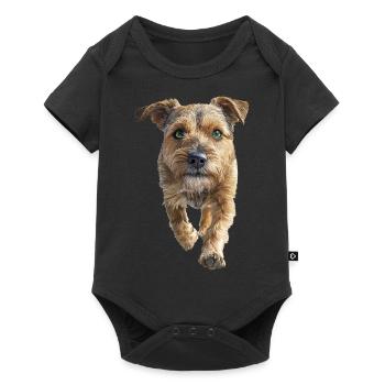 Border Terrier - Baby Premium Kurzarmbody - Schwarz - Vorne