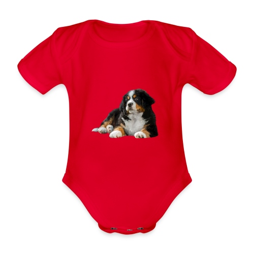 Berner Sennenhund - Baby Bio-Kurzarm-Body