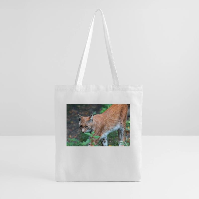 Eurasischer Luchs oder Nördlicher Luchs Stoffbeutel