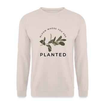 blühe, wo du gepflanzt bist - Unisex Pullover - Sand - Vorne - Alina (178cm) & Michal (187cm)