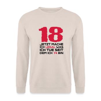 18 Jahre Geburtstags T-Shirt's, Jetzt mache ich - Unisex Pullover - Sand - Vorne - Alina (178cm) & Michal (187cm)