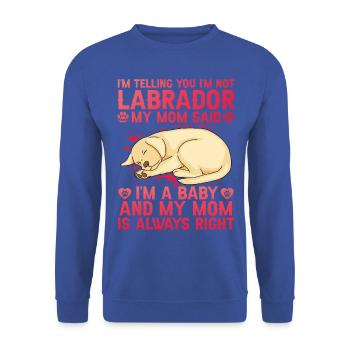 Labrador - Sweat-shirt Unisexe - bleu royal - Devant - Alina (178cm) & Michal (187cm)