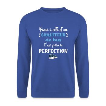 Passé à côté d'un chauffeur de bus t-shirt - Sweat-shirt Unisexe - bleu royal - Devant - Alina (178cm) & Michal (187cm)