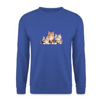 chatons maine coon chats mignons - Sweat-shirt Unisexe - bleu royal - Devant - Alina (178cm) & Michal (187cm)