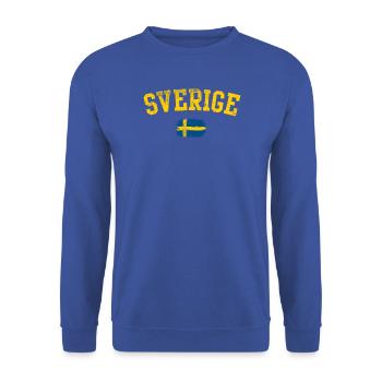 Sverige-Bogen-Flaggenemblem - Unisex Pullover - Royalblau - Vorne - Alina (178cm) & Michal (187cm)