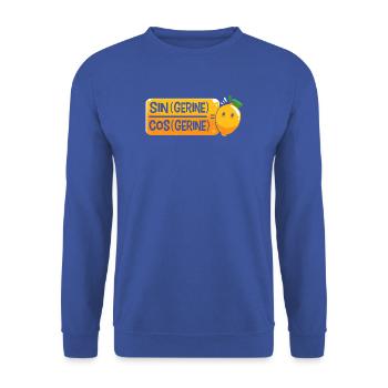 Mathematik mathematisch Mathe Mathematiker - Unisex Pullover - Royalblau - Vorne - Alina (178cm) & Michal (187cm)