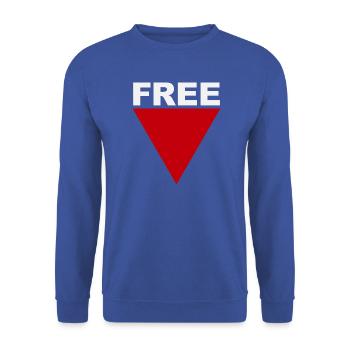 Freefall Bold Triangle - Unisex Sweatshirt - royal blue - Front - Alina (178cm) & Michal (187cm)