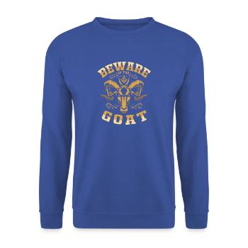 Illuminati Freimaurer - Unisex Pullover - Royalblau - Vorne - Alina (178cm) & Michal (187cm)