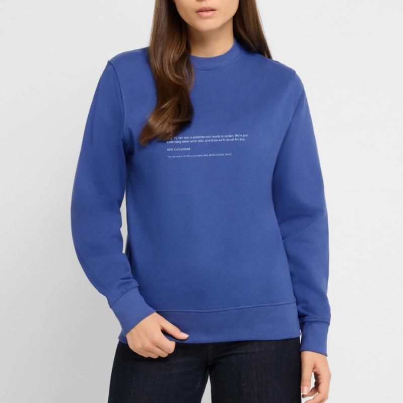 Programmieren Error Bluescreen Gaming Geschenk Unisex Pullover