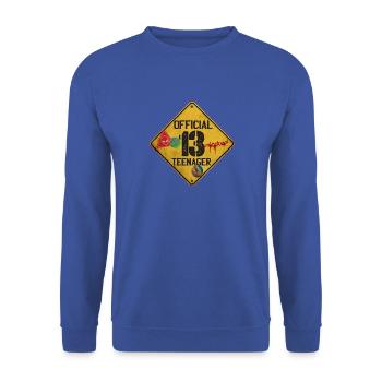 Offizielles Geschenk zum 13. Geburtstag von Teenagern für 13 Jahre - Unisex Pullover - Royalblau - Vorne - Alina (178cm) & Michal (187cm)