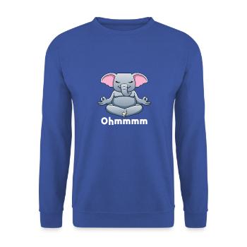Yoga, Meditate, Consciousness, Meditation - Unisex Sweatshirt - royal blue - Front - Alina (178cm) & Michal (187cm)
