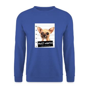 Chihuahua Most Wanted - Unisex Pullover - Royalblau - Vorne - Alina (178cm) & Michal (187cm)
