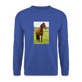 Horse. Horse. - Unisex Sweatshirt - royal blue - Front - Alina (178cm) & Michal (187cm)