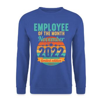 Employee of the Month November 2022 - Unisex Sweatshirt - royal blue - Front - Alina (178cm) & Michal (187cm)