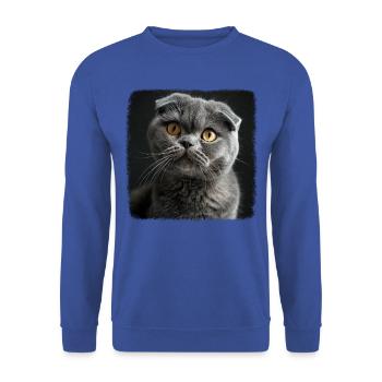 Scottish Fold Kitten Scottish Fold Cat - Unisex Sweatshirt - royal blue - Front - Alina (178cm) & Michal (187cm)