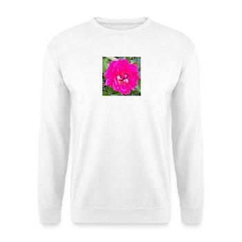 Rosa Rosenblüte - Unisex Pullover - Weiß - Vorne - Alina (178cm) & Michal (187cm)
