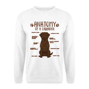 Anatomie eines braunen Labradors - Unisex Pullover - Weiß - Vorne