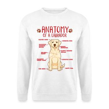 Chemise jaune d’anatomie Labrador - Sweat-shirt Unisexe - blanc - Devant