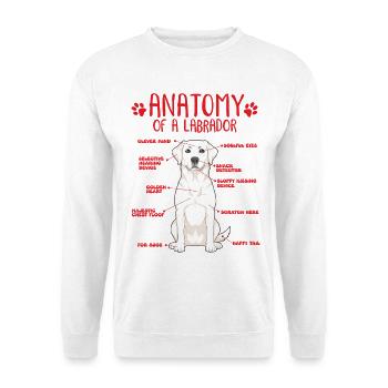 White Labrador Anatomy Motiv - Unisex Pullover - Weiß - Vorne
