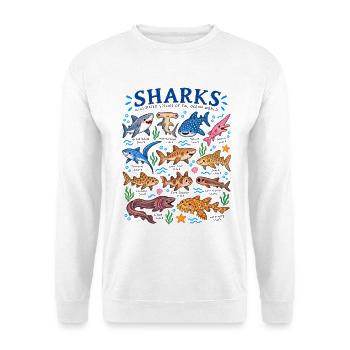 Haie Arten Lexikon Meeresbiologie Hai Illustration - Unisex Pullover - Weiß - Vorne - Alina (178cm) & Michal (187cm)