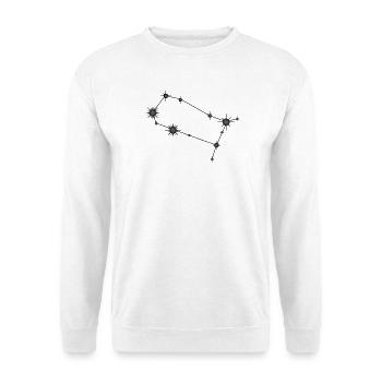 Gémeaux Étoile Constellation Signe du zodiaque Noir et gris - Sweat-shirt Unisexe - blanc - Devant