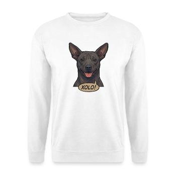 Xoloitzcuintli Dog Retro Vintage Comic Design - Unisex Sweatshirt - white - Front