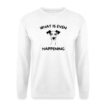 Cooler Spruch - Was geht hier überhaupt ab - Unisex Pullover - Weiß - Vorne - Alina (178cm) & Michal (187cm)