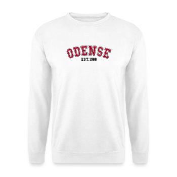 Odense gegründet 1966 – Geburtstag - Unisex Pullover - Weiß - Vorne - Alina (178cm) & Michal (187cm)