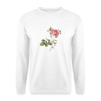 Vintage Rose Botanical Illustration - Unisex Sweatshirt - white - Front