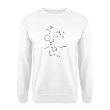 Psilocybin- und Meskalinmoleküle - Unisex Pullover - Weiß - Vorne - Alina (178cm) & Michal (187cm)
