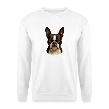 Eindrucksvoller Boston Terrier Blick - Unisex Pullover - Weiß - Vorne
