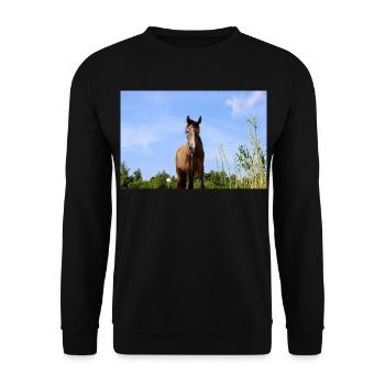 Pferd Pferdeposter - Unisex Pullover - Schwarz - Vorne - Alina (178cm) & Michal (187cm)