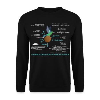 Question simple des rapports de poids - Sweat-shirt Unisexe - noir - Devant - Alina (178cm) & Michal (187cm)