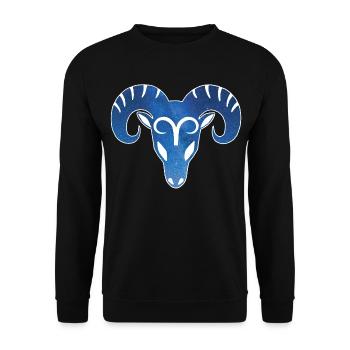Der Widder und das Universum - Unisex Pullover - Schwarz - Vorne - Alina (178cm) & Michal (187cm)