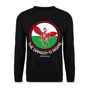 Der Drache steigt auf, Indy Wales - Unisex Pullover - Schwarz - Vorne - Alina (178cm) & Michal (187cm)