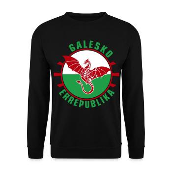 Galesko Errepublika - Welsh Republic - Unisex Sweatshirt - black - Front - Alina (178cm) & Michal (187cm)