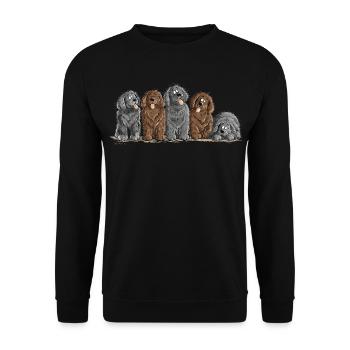 Neufundländer Hunde Rudel Newfie Hundeliebe Neufi - Unisex Pullover - Schwarz - Vorne - Alina (178cm) & Michal (187cm)