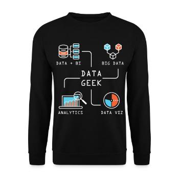 Data Geek Softwareentwickler - Unisex Pullover - Schwarz - Vorne - Alina (178cm) & Michal (187cm)