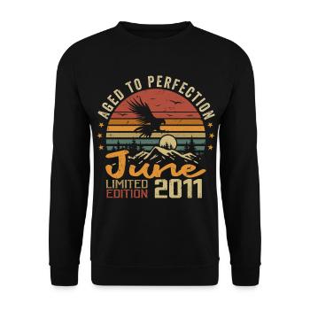 Vintage Juin 2011 Juin 2011 né en Juin 2011 Rétro - Sweat-shirt Unisexe - noir - Devant - Alina (178cm) & Michal (187cm)