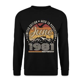 June 1981 44th Anniversary Gift June 1981 Retro - Unisex Sweatshirt - black - Front - Alina (178cm) & Michal (187cm)